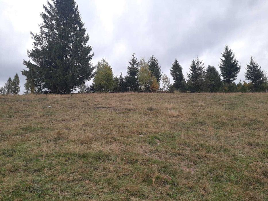 Teren în Arieșeni jud Alba