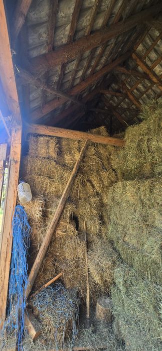 Vând baloti de fân și otavă