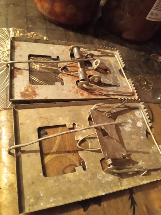 Мышеловки 2 штуки