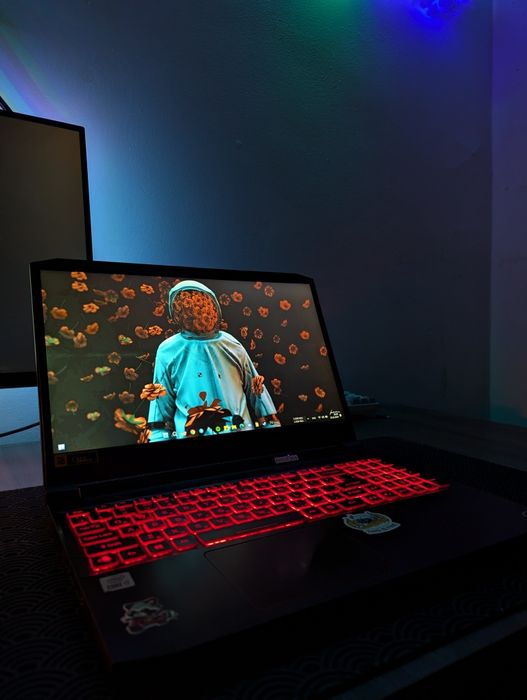Игровой ноутбук Acer Nitro 5