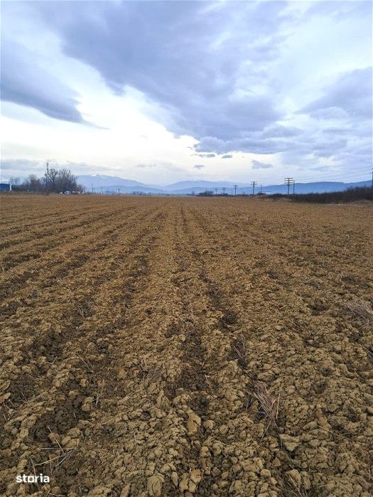 Teren extravilan Avrig