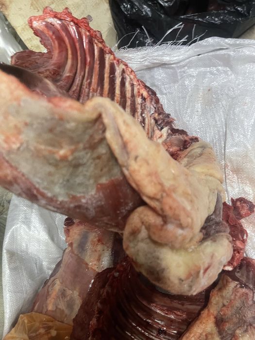 Мясо конина жабагы тай