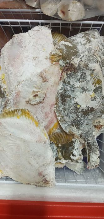 рыба Камбала . Продажа упаковками. Доставка бесплатно.