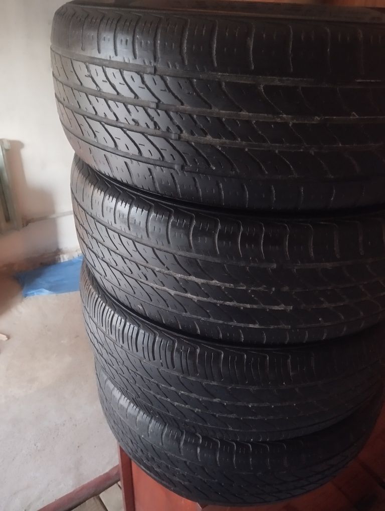 Demeter 195/65/R 15