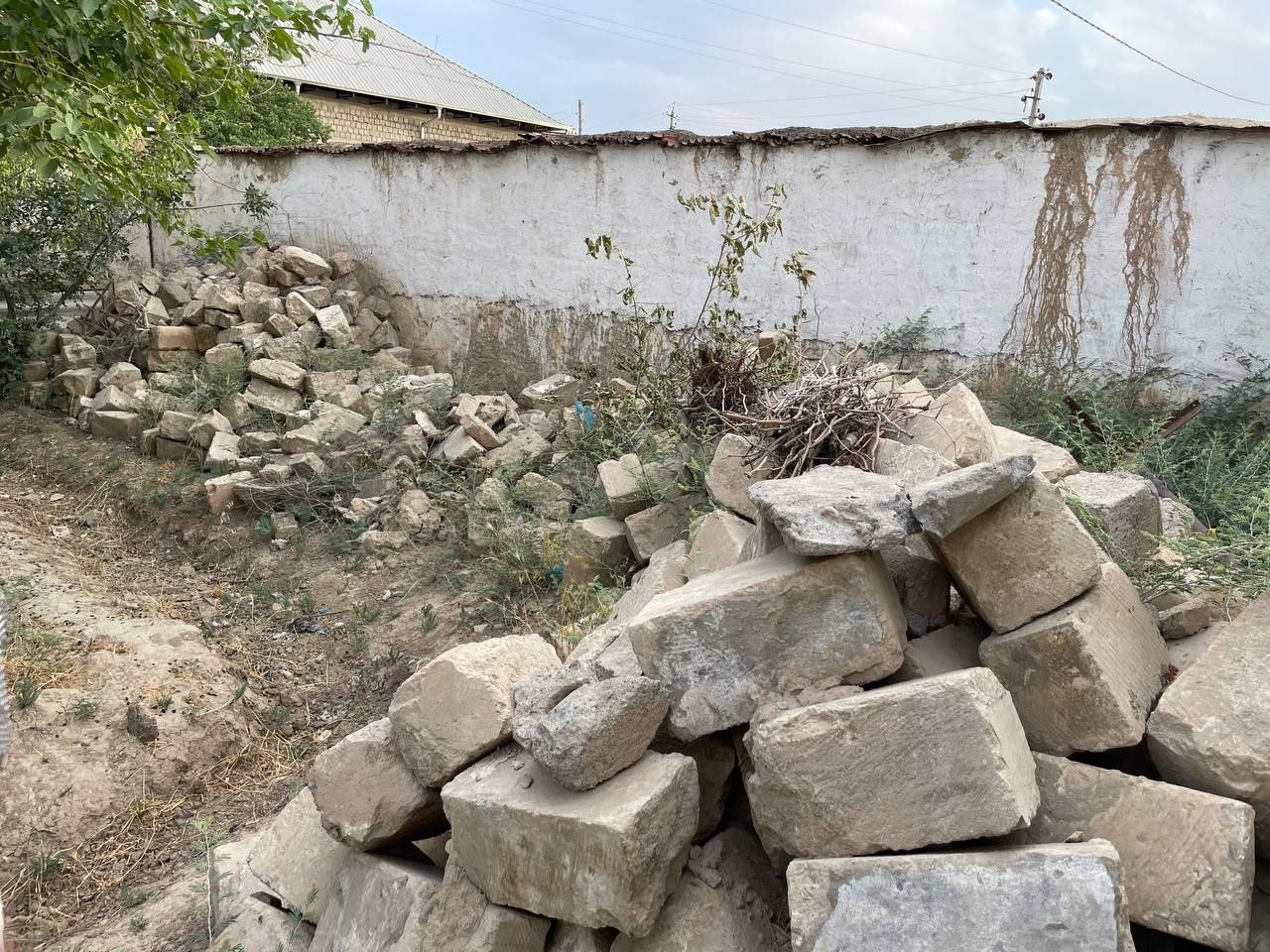 Бепулга кашкадарё гузор