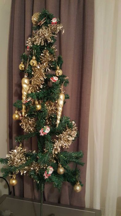 Bradut impodobit 1+1 gratuit 1m inaltime cu auriu