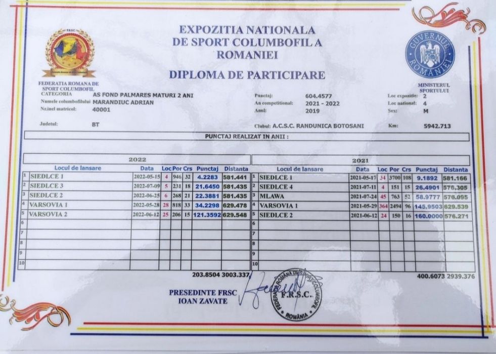 Porumbei voiajori cu expozitie