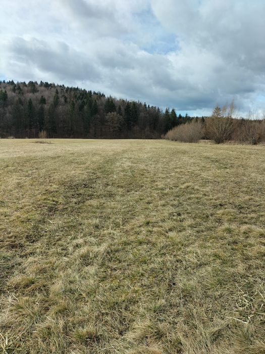 Teren de vânzare Oșlobeni