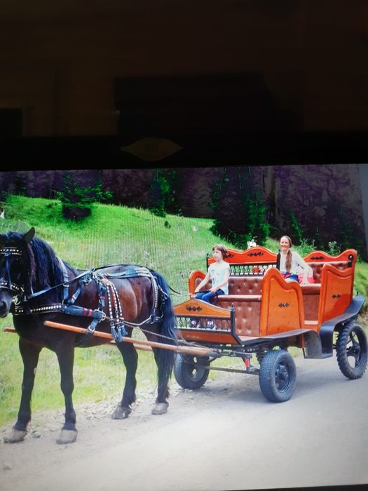 Vand cal si caliasca construita artizanal cauciucuri rezerva