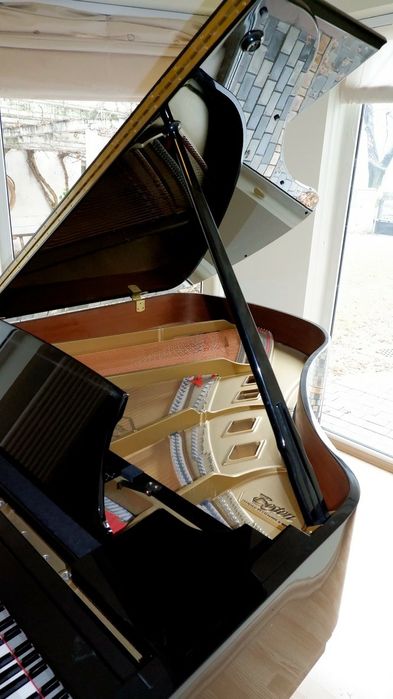 Pian Steinway - Boston GP 178 II, an 2009.