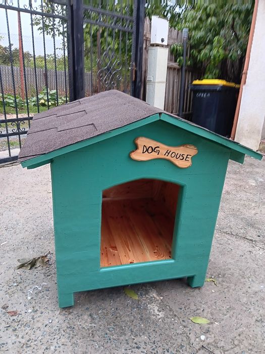 Cusca catel pisici la comanda