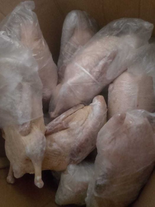 Продам гусей 3000 за 1 кг