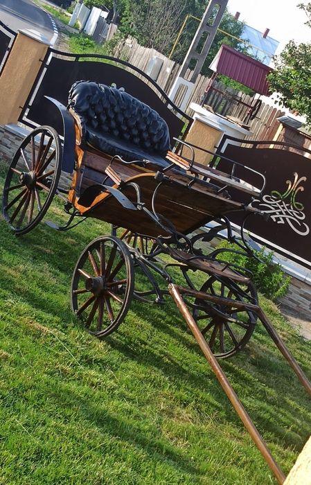 Trăsură perfect funcțională