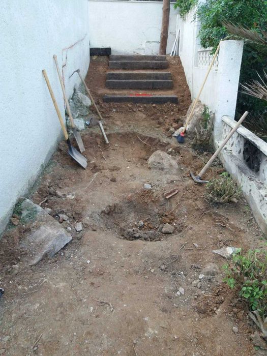 Amenajare grădini,toaletare pomi,scarificare-insamantare gazon!