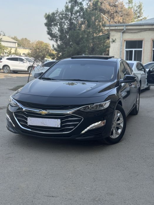 2022 toza ideal primer malibu