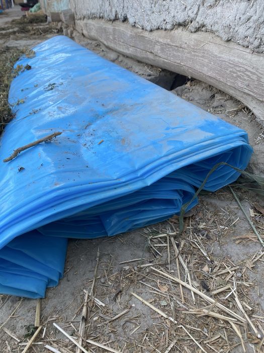 Парник сотилади 4 млн