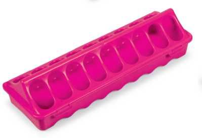 hranitor , adapator , porumbei , pui de 1 zi