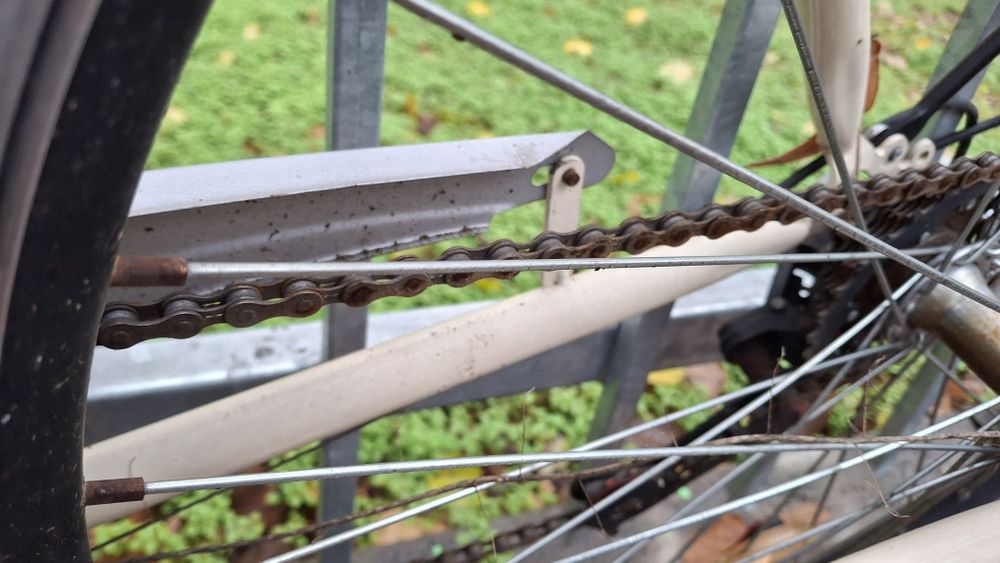 Bicicleta bej, de dama, functionala