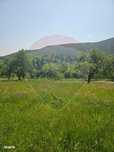 Teren   intravilan  de vanzare 1,310 mp  Sat Fantanele Jud. Sibiu