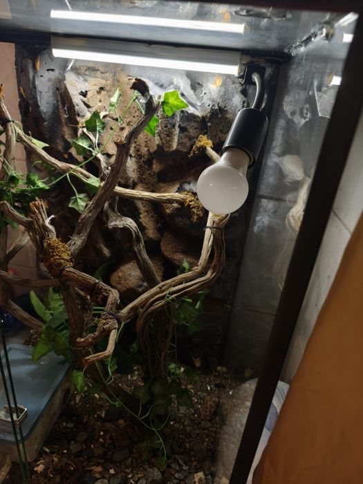 Продам террариум