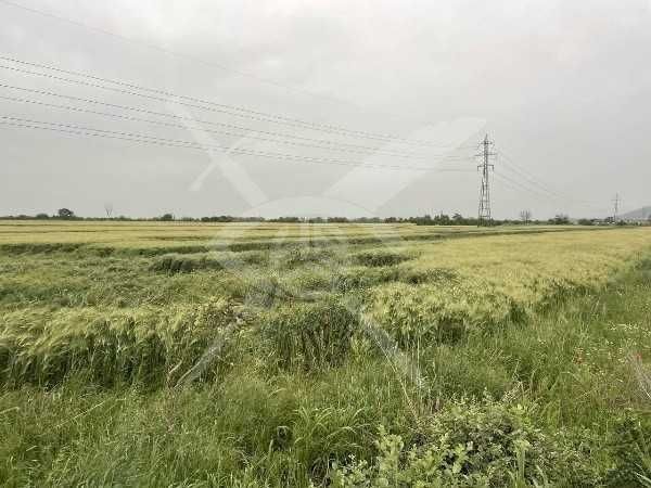 Парцел Асеновград 83731