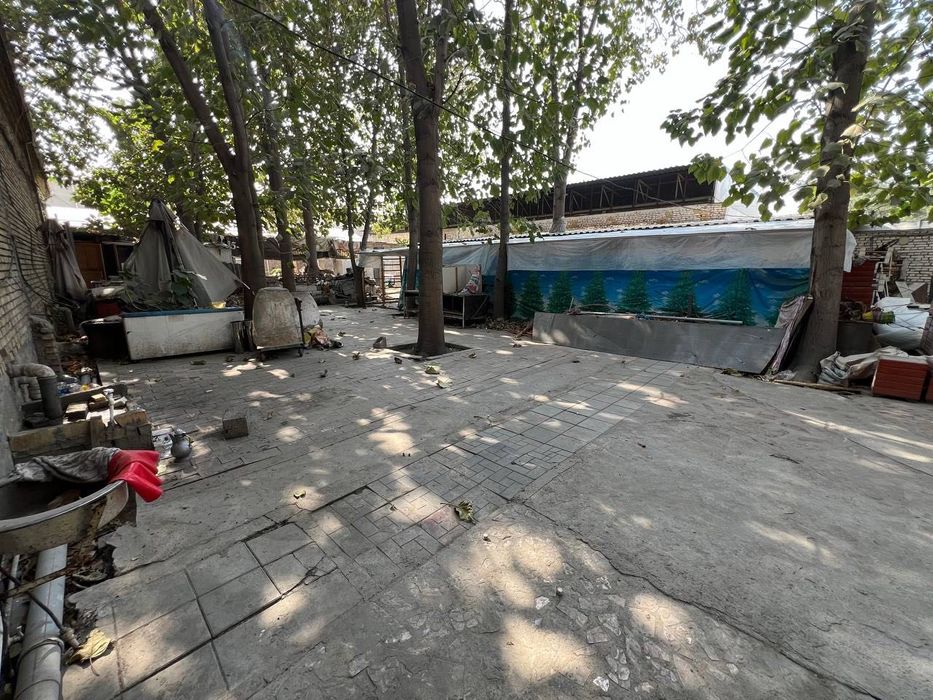 Noturar Bino, Tayyor biznes