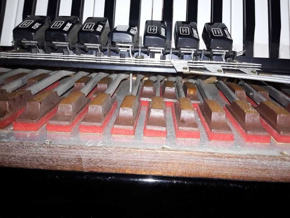 Vīnd acordeon italian grif B pentru conservator 120 basi și pt midi.
