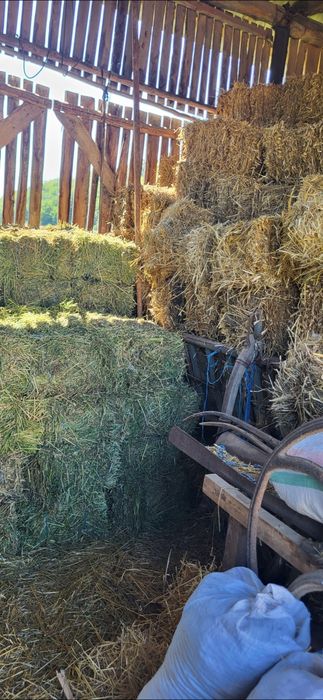 Baloti lucernă coasa 1 2 și 3 și Paie