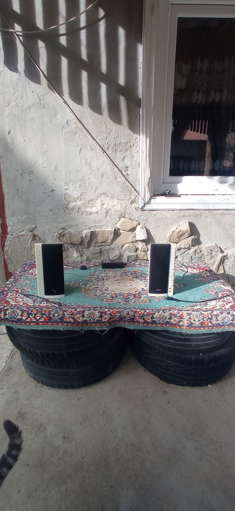 Vând boxe  la prețul de 100 lei.