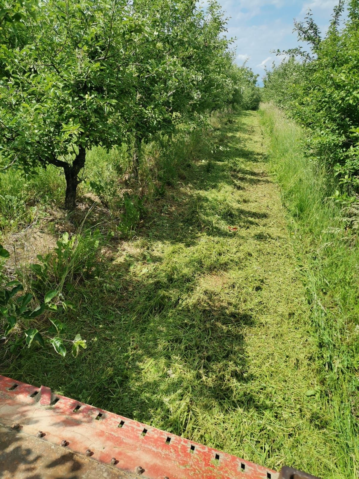 Pamant intravilan loc de casa