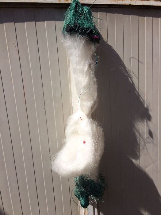 Plase pescuit cu radine