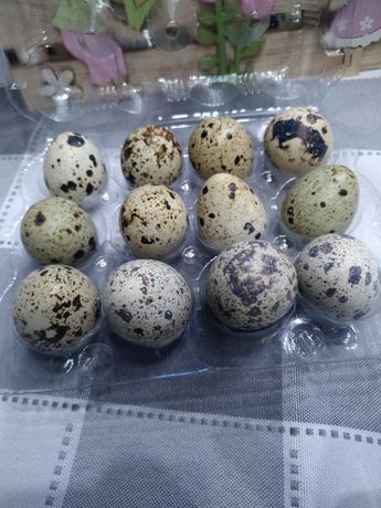 Яйца от пъдпъдъци / Пъдпъдъчи яйца