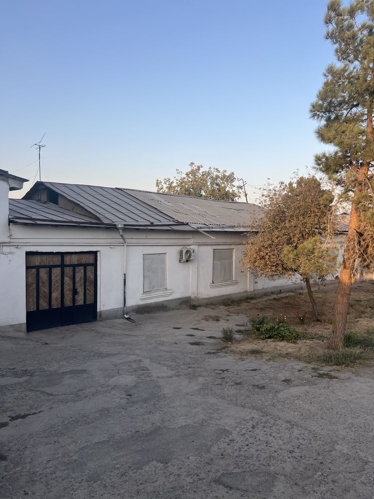 Uchaska Sotiladi Kelishtrib beramz