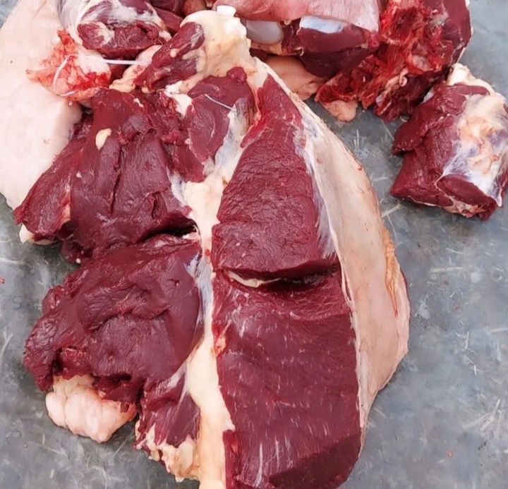 Мясо конины, Срочно!