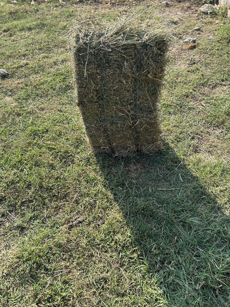 Vând baloți de lucerna si fân