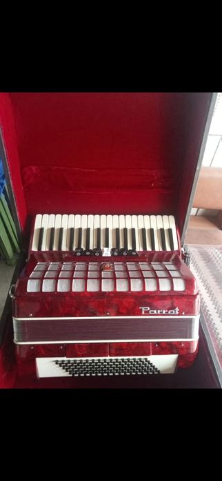 Acordeon Parrot 96 bași nou 2.100 lei