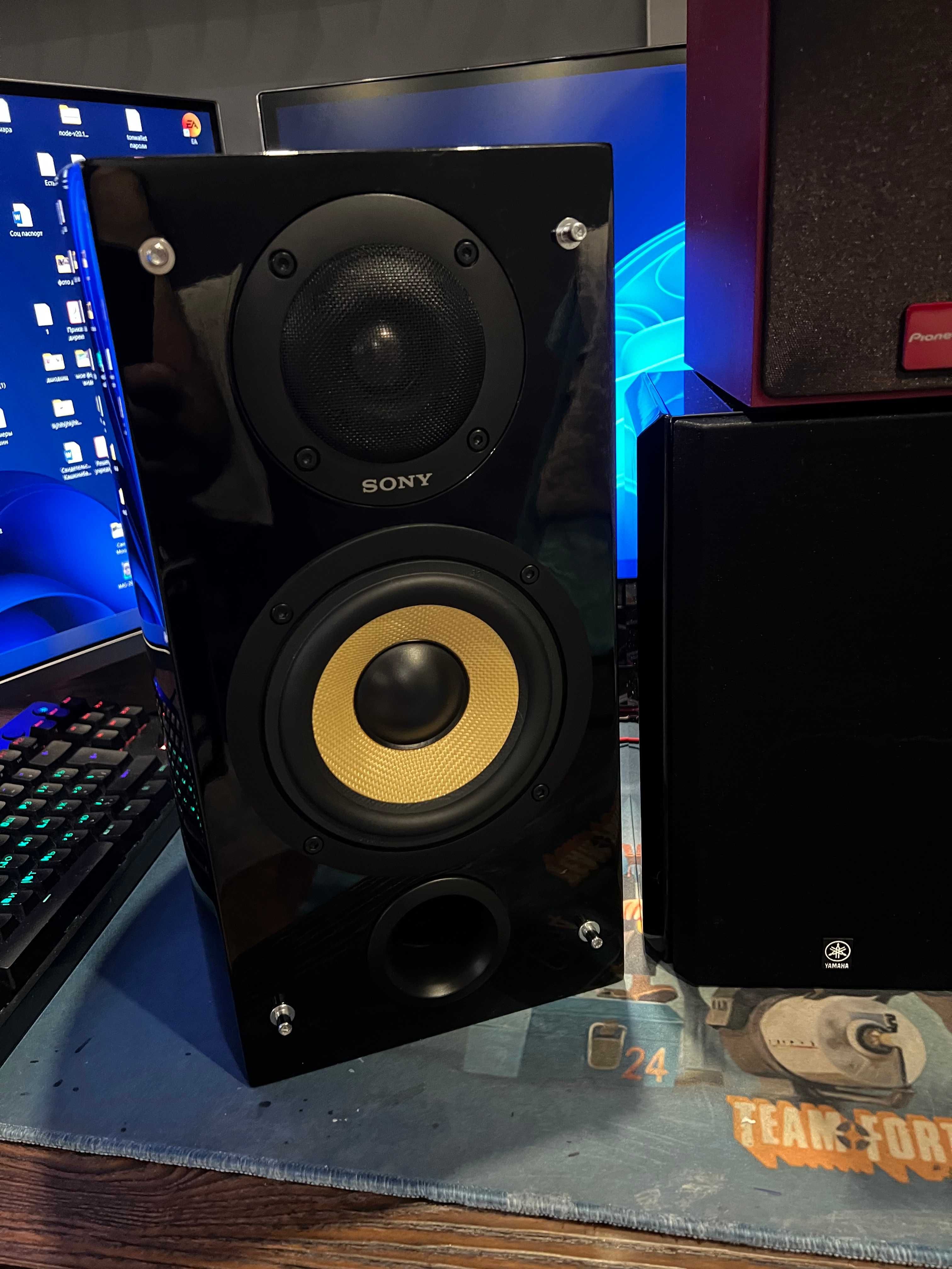 Акустика SONY SS-K10ED