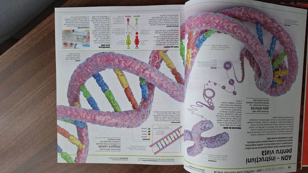 Enciclopedia Corpul uman