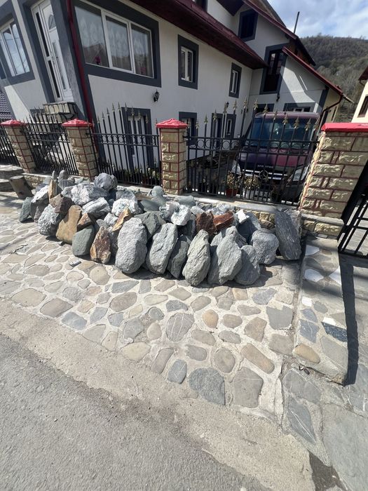 Bolovani ornamentali orice dimensiune si nuante oriunde in tara