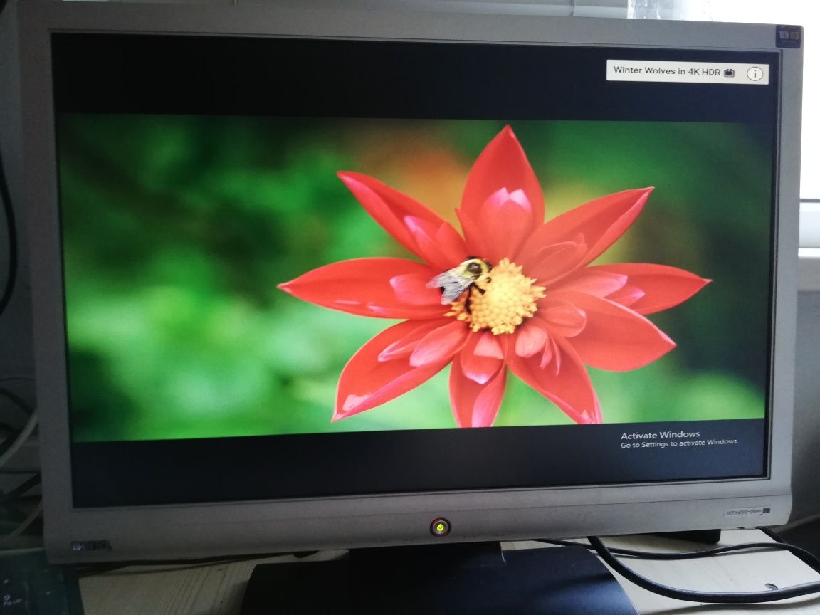 Monitor 19 inchi wide