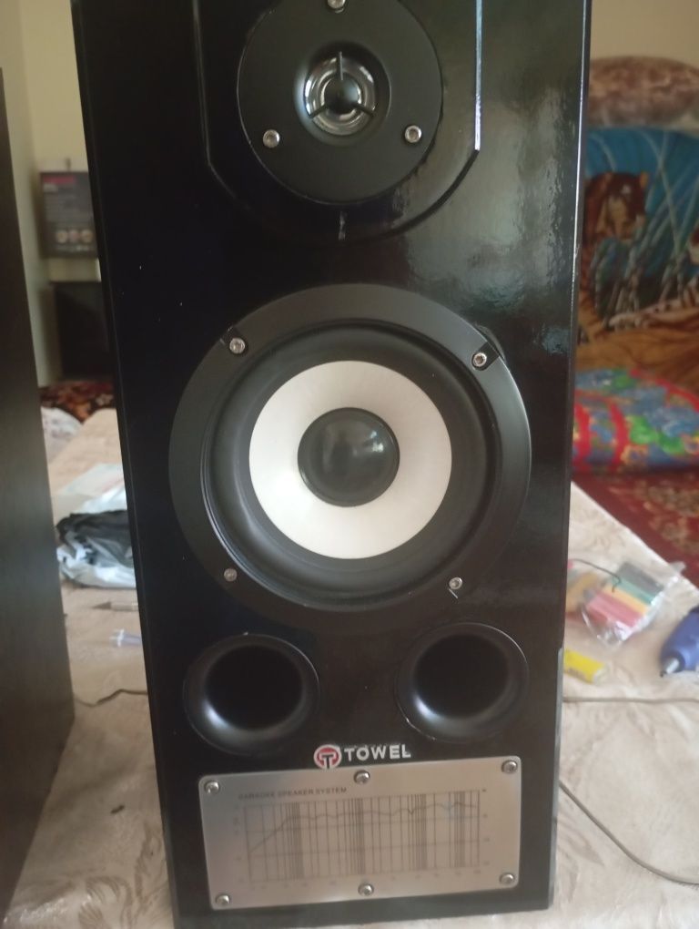 Towel Home acoustic system