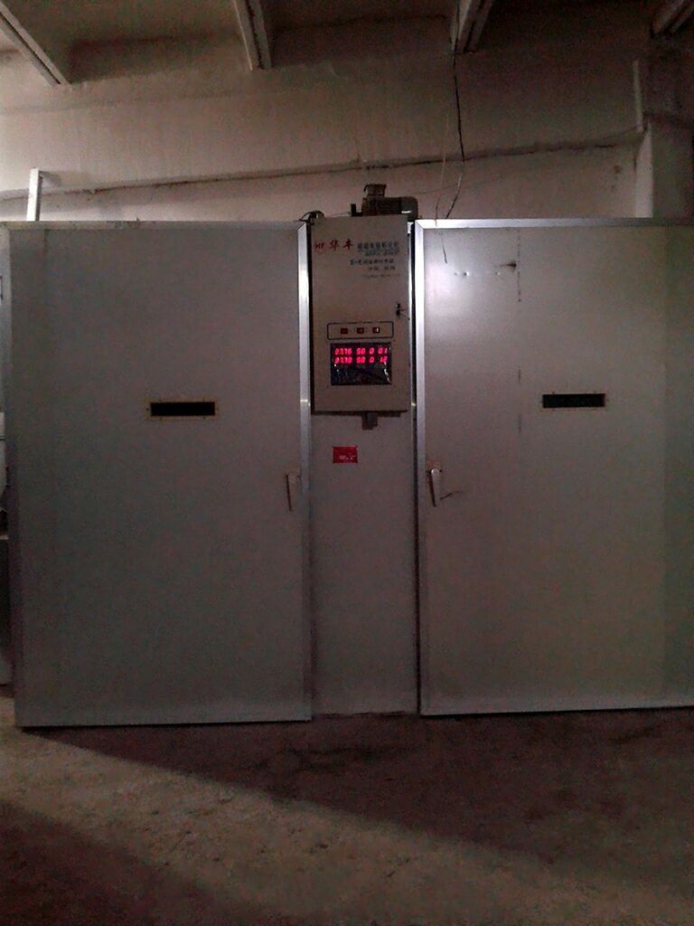 Инкубатор 19200 дона тухум учун