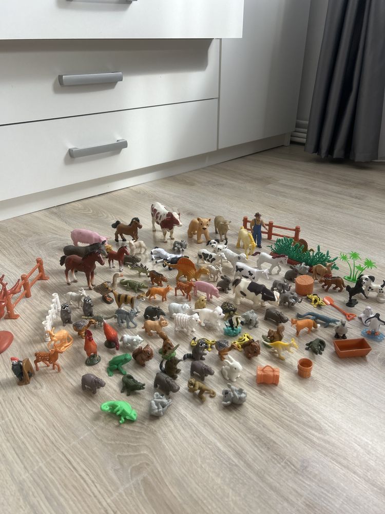 Vand animalute,se vand impreuna!