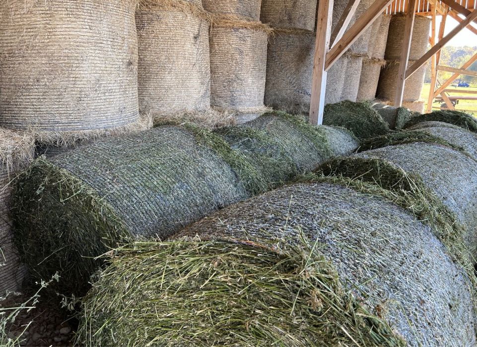 Baloti lucerna baloti fan rotunzi neplouati