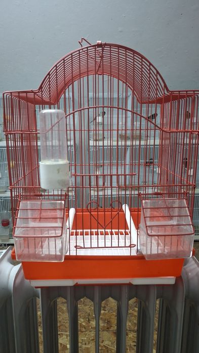 Colivii ,diferite culori