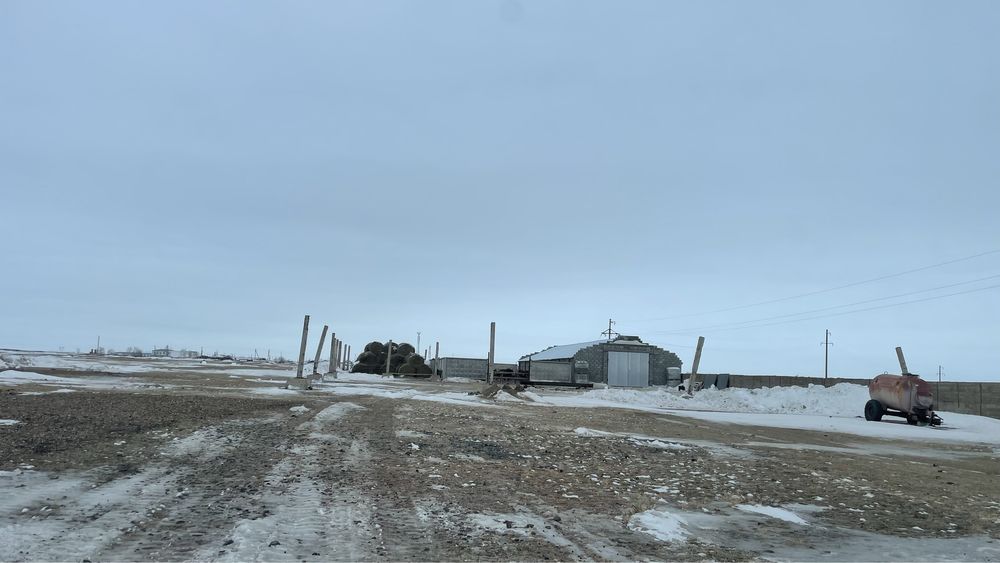 Продам ферму, базу, хозяйство,дом