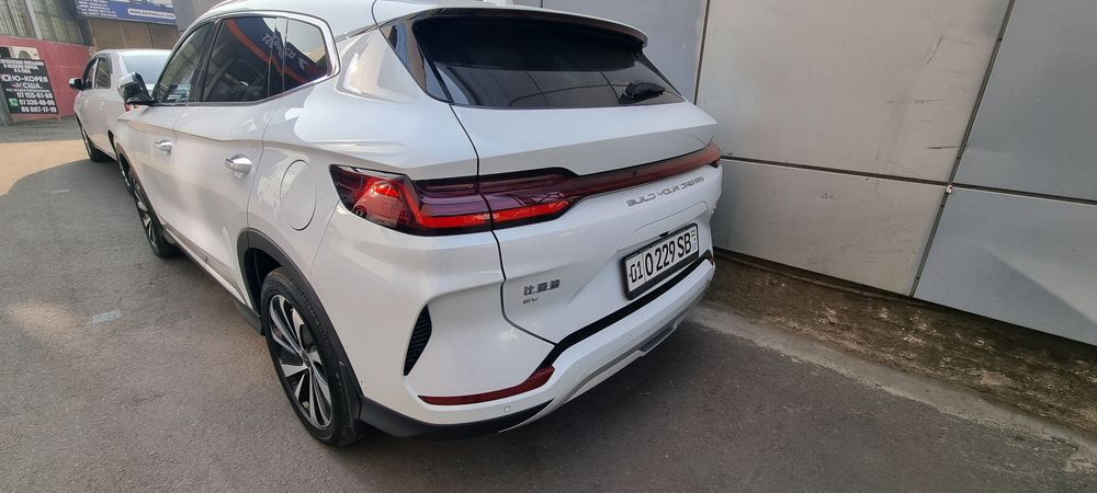 Byd champion 605 full