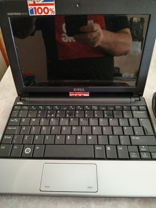 DELL inspiron mini