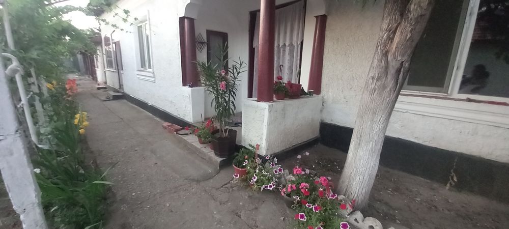 Casa de vinzare com cervenia Teleorman