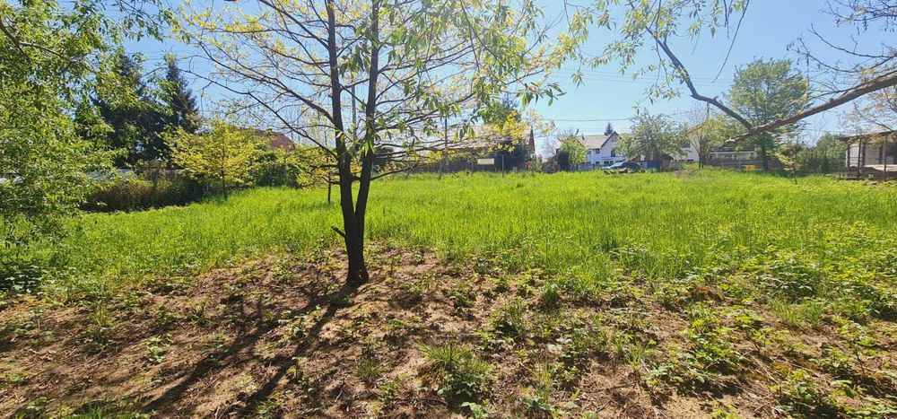 Vând Teren INTRAVILAN 12.5 Arii  Baia Mare str.Sebeșului